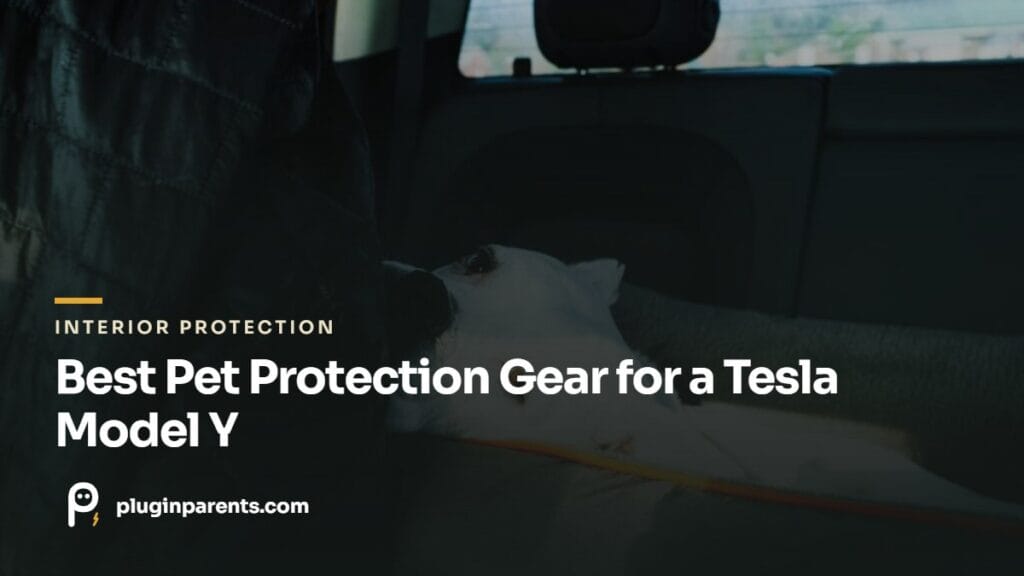 Best Pet Protection Gear for a Tesla Model Y